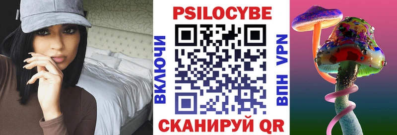 ОМГ ОМГ как зайти  Кизляр  Псилоцибиновые грибы мухоморы 